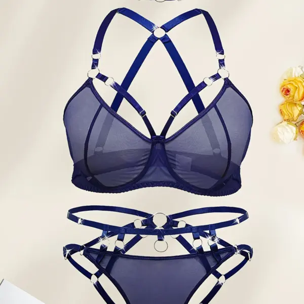 Plus Size Women's Lace Mesh Bra and Panties, Supportive Bra