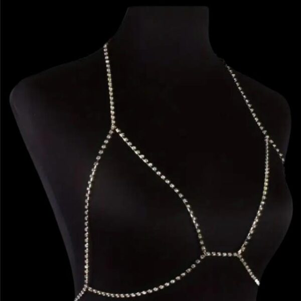 Elys Chest Jewelry & Sting
